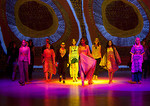 Roopa Pennaraju portfolio